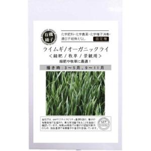 有機種子 固定種 ライムギ オーガニックライ 18ｇ 種  緑肥 牧草 景観用 2024年11月期限