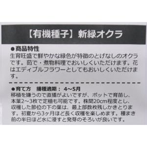 有機種子 固定種 新緑オクラ 35粒 種 おく...の詳細画像1
