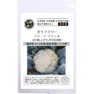 有機種子 固定種 カリフラワー  フローラ ブランカ 40粒 種 2026年11月期限