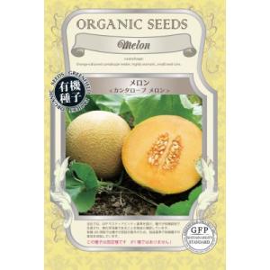 有機種子 固定種 メロン カンタロープ 25粒 2026年11月期限
