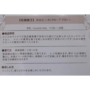 有機種子 固定種 メロン カンタロープ 25粒...の詳細画像1