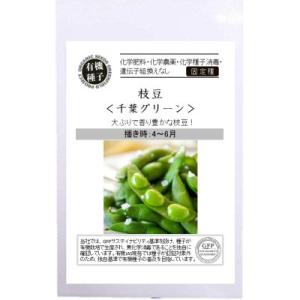 有機種子 固定種 枝豆 千葉グリーン 24粒 種...の商品画像