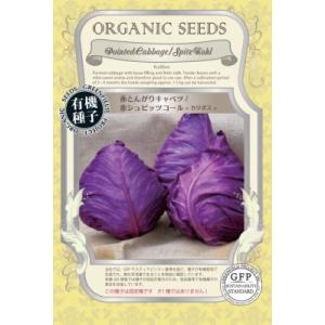 有機種子 固定種 赤とんがりキャベツ 赤シュピッツコール カリボス 40粒 種 2026年11月期限