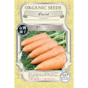 有機種子 固定種 にんじん 極太ニンジン オレンジジャイアント 0.7ｇ 種 2026年11月期限