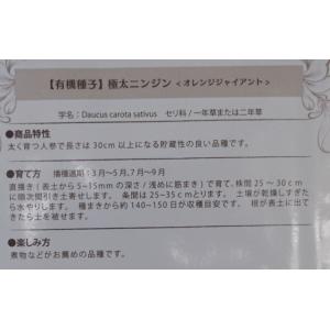 有機種子 固定種 にんじん 極太ニンジン オレ...の詳細画像1