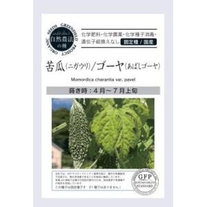 有機種子 固定種 ゴーヤ 苦瓜  種 あばしゴーヤ ８粒 ニガウリ 緑のカーテン 2026年11月期...