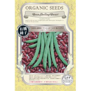 有機種子 固定種 つるなし金時豆 ブッシュビーンズ 赤インゲン カナディアンワンダー 種 18粒 2...