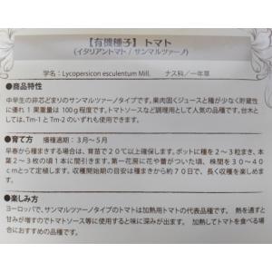 有機種子 固定種 トマト とまと イタリアント...の詳細画像1