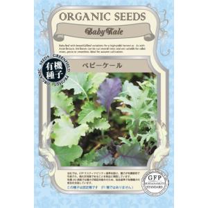 有機種子 固定種 ベビーケール 種 ベビーリーフ 0.6g 種子 2026年11月期限