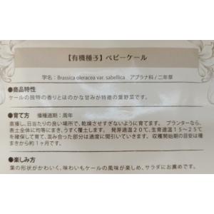 有機種子 固定種 ベビーケール 種 ベビーリー...の詳細画像2