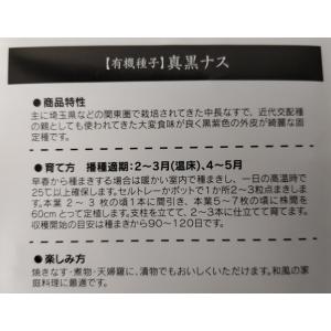 有機種子 固定種 なす 真黒ナス 種 35粒 ...の詳細画像2