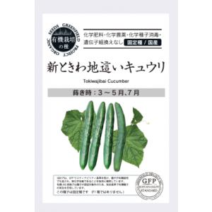 有機種子 固定種 きゅうり 新ときわ地這いキュウリ 種 25粒 キュウリ 国産 2026年11月期限