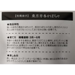 有機種子 固定種 東京芳香かぼちゃ 種 カボチ...の詳細画像2