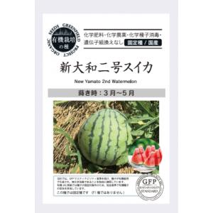 有機種子 固定種 新大和二号スイカ 種 大玉スイカ 15粒 2026年11月期限