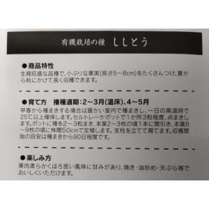 有機種子 固定種 ししとう 種 40粒 202...の詳細画像1