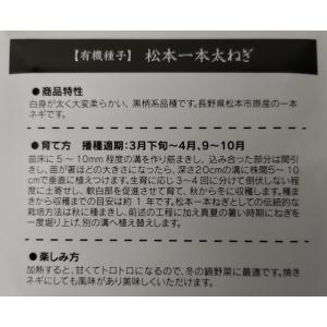 有機種子 固定種 松本一本太ねぎ 種 ねぎ 1...の詳細画像2
