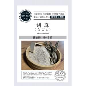 有機種子 固定種 ごま 胡麻 種 白ごま 6.5g 2026年11月期限