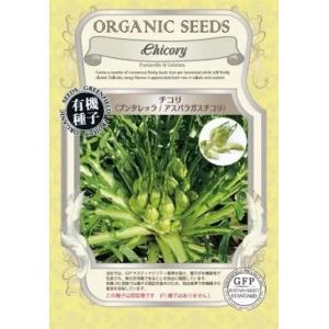 有機種子 固定種 チコリ プンタレッラ 種 80粒 種子 2026年5月期限