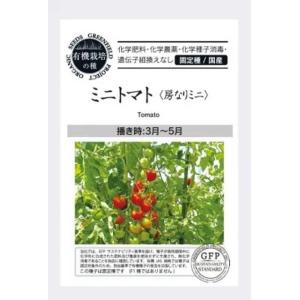 有機種子 固定種 ミニトマト 種 房なりミニ 20粒 2026年11月期限