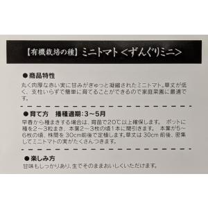 有機種子 固定種 ミニトマト 種 ずんぐりミニ...の詳細画像1