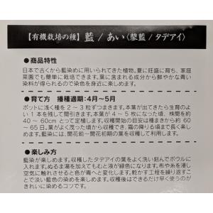 有機種子 固定種 藍 タデアイ 種 25粒 2...の詳細画像1