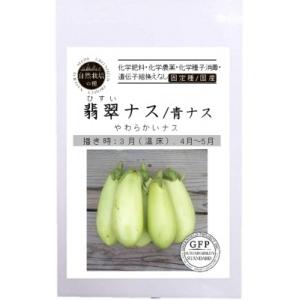 無農薬 自然栽培の種 固定種 翡翠ナス 青なす 2026年11月期限