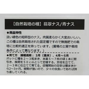 無農薬 自然栽培の種 固定種 翡翠ナス 青なす...の詳細画像2