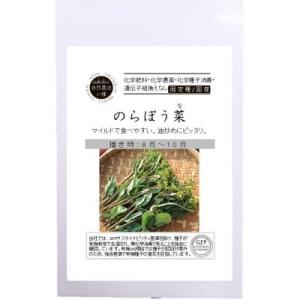 無農薬 自然栽培の種 固定種 のらぼう菜 3.5ｇ 種 在来種 2026年11月期限