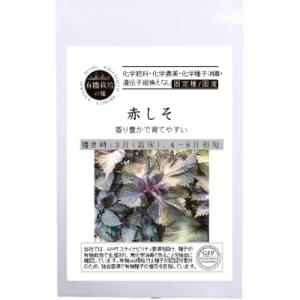 有機栽培の種 固定種 赤しそ 1.8ｇ 種 赤シソ 2026年5月期限