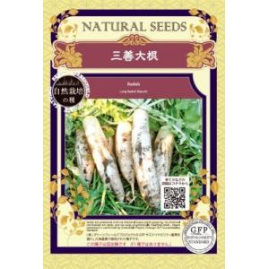 無農薬 自然栽培の種 固定種 三善大根 1ｇ 種 在来種 大根 2025年11月期限