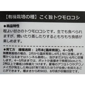 有機種子 固定種 こく旨トウモロコシ 種 とう...の詳細画像2