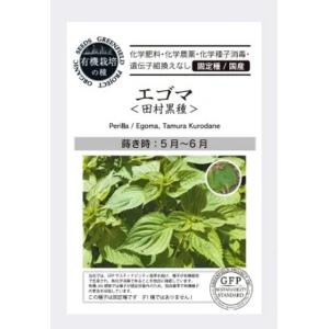 有機種子 固定種 エゴマ えごま 田村黒種 2.1ｇ 種 2023年11月期限