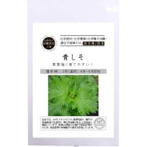 有機種子 固定種 青しそ 1.8ｇ 有機栽培の種 種 国産 青シソ 2024年11月期限