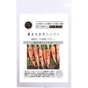 有機種子 固定種 夏まき五寸ニンジン にんじん 種 0.7ｇ 2026年11月期限