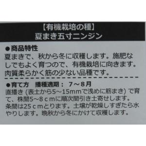 有機種子 固定種 夏まき五寸ニンジン にんじん...の詳細画像2