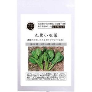 有機種子 固定種 丸葉小松菜 自然栽培の種 コマツナ 0.5ｇ 2026年5月期限