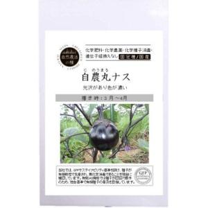 自然農法の種 有機種子 固定種 自農丸ナス 10粒 種 なす 2026年11月期限