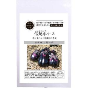 自然農法の種 有機種子 固定種 信越水ナス 10粒 種 水なす 2026年11月期限