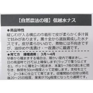 自然農法の種 有機種子 固定種 信越水ナス 1...の詳細画像1