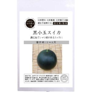 自然農法の種 有機種子 固定種 黒小玉スイカ 10粒 種 すいか 2024年11月期限