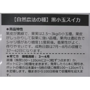 自然農法の種 有機種子 固定種 黒小玉スイカ ...の詳細画像1