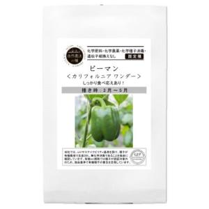 有機種子 固定種  ピーマン カリフォルニアワンダー 25粒 種 2026年11月期限