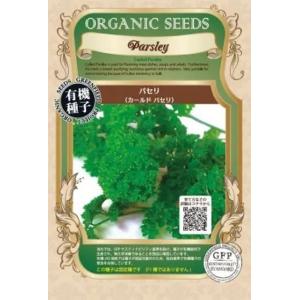有機種子 固定種 パセリ 0.5ｇ 種 カールドパセリ 2026年11月期限