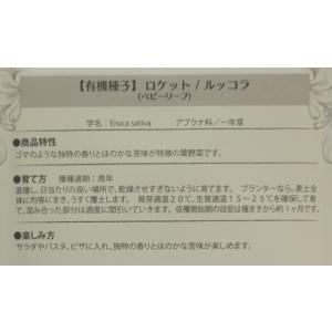 有機種子 固定種 ベビーリーフ ルッコラ 4g...の詳細画像2