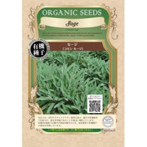 有機種子 固定種 セージ コモンセージ 種 ハーブ 2022年11月期限