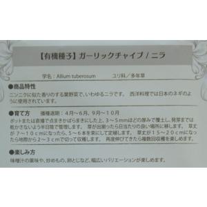 有機種子 固定種 ガーリックチャイブ ニラ 0...の詳細画像2