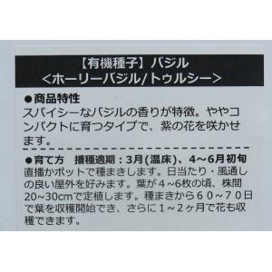 有機種子 固定種 ホーリーバジル 100粒 種...の詳細画像1