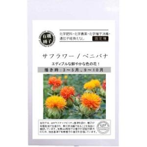 有機種子 固定種 サフラワー 20粒 種 ベニバナ 紅花 エディブルフラワー 2026年11月期限