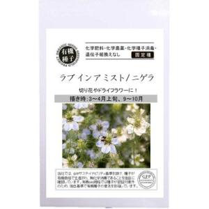 有機種子 固定種 ラブインアミスト 200粒 種 ニゲラ ハーブ 種子 2026年11月期限