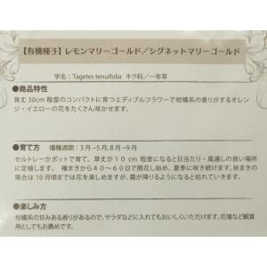 有機種子 固定種 レモンマリーゴールド シグネ...の詳細画像1
